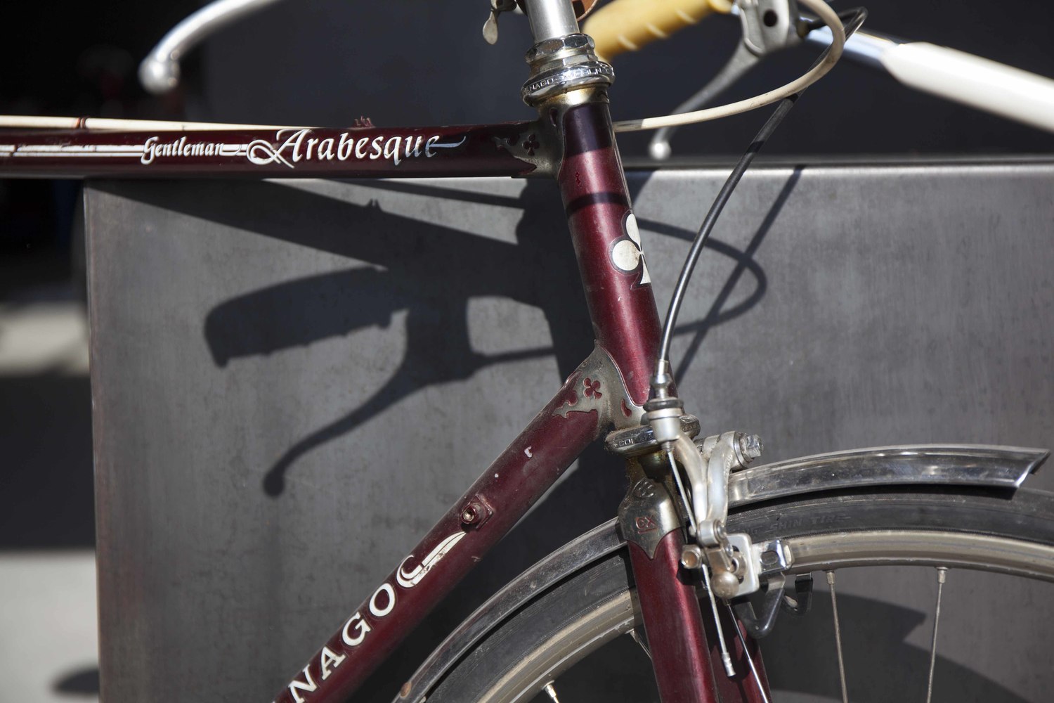 Colnago arabesque regal gentleman